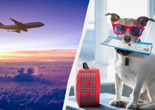 Война в Иране – авиакомпании массово отменяют рейсы