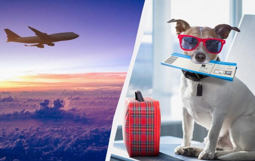 Война в Иране – авиакомпании массово отменяют рейсы