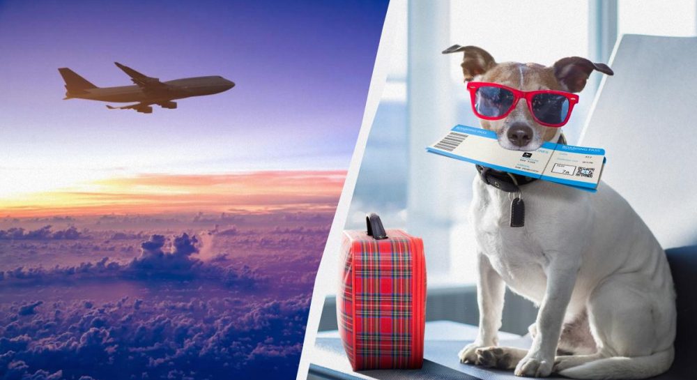 Война в Иране – авиакомпании массово отменяют рейсы