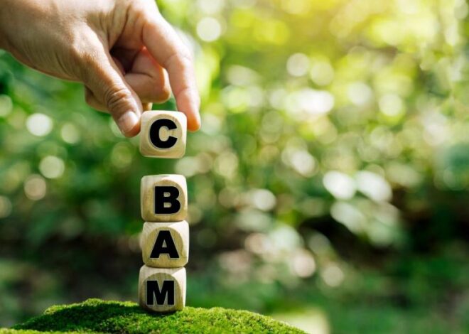 Рыженков: CBAM — один из самых серьезных вызовов в отношениях Украины и ЕС на сегодня