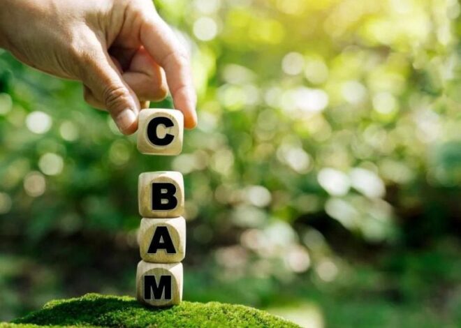 Европейская экологическая пошлина CBAM обойдётся Украине в 2,1% ВВП к 2030 году, – цифры