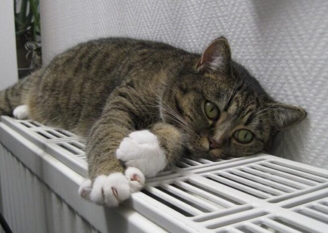 Отопление в Киеве – нардеп предупредил, что следующая зима будет еще тяжелее