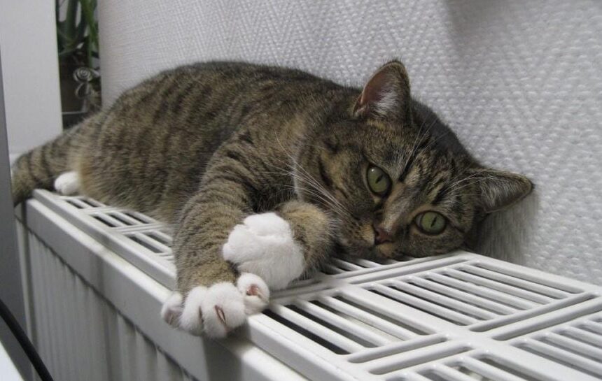 Отопление в Киеве – нардеп предупредил, что следующая зима будет еще тяжелее