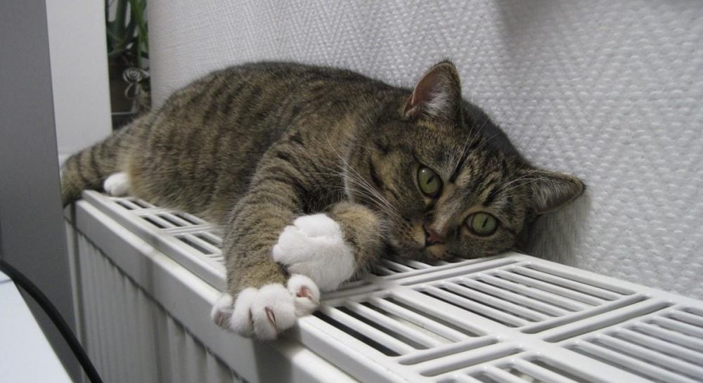 Отопление в Киеве – нардеп предупредил, что следующая зима будет еще тяжелее