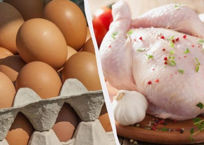 Цены на яйца в Украине дорожают – какая цена куриных яиц на сегодня
