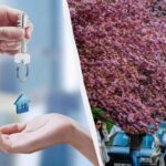 Цены на квартиры в Ужгороде – сколько стоит квадратный метр квартиры в Ужгороде