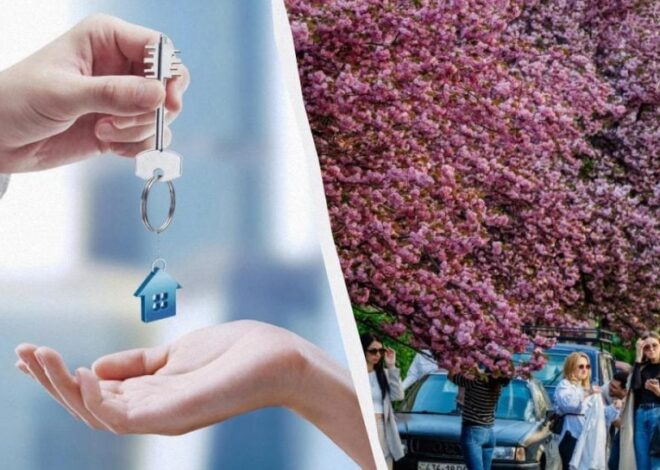 Цены на квартиры в Ужгороде – сколько стоит квадратный метр квартиры в Ужгороде