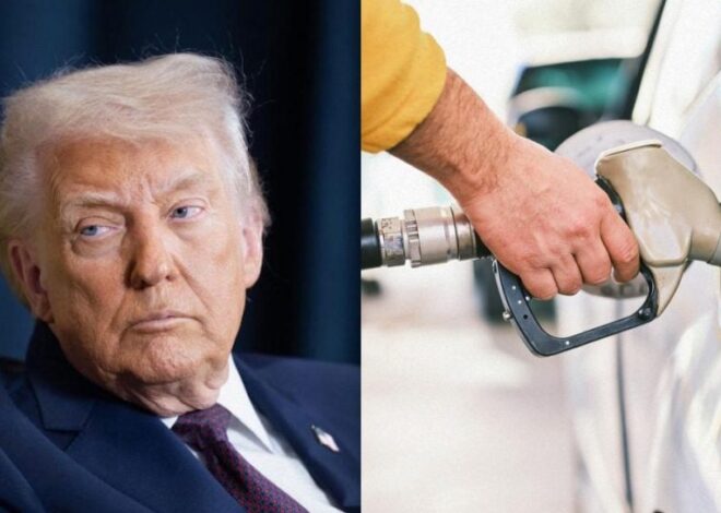 Очередная «победа» Трампа: цены на топливо в США взлетели до исторического рекорда