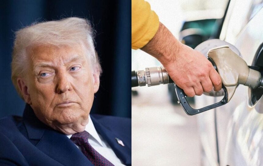 Очередная «победа» Трампа: цены на топливо в США взлетели до исторического рекорда