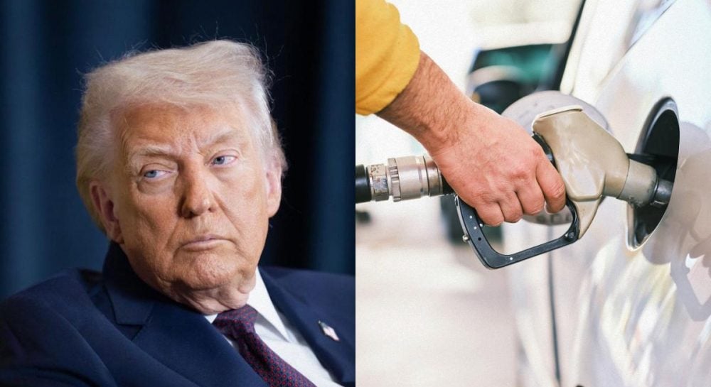 Очередная «победа» Трампа: цены на топливо в США взлетели до исторического рекорда