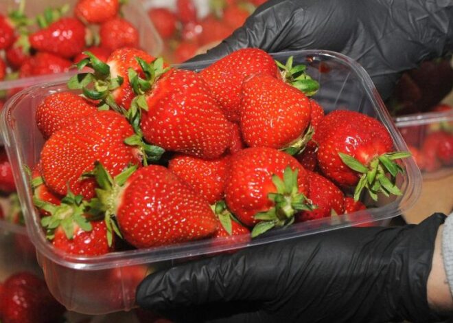 Цены на продукты в Украине – Сколько стоит клубника в апреле