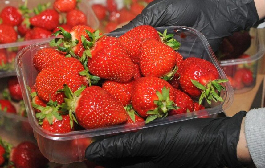 Цены на продукты в Украине – Сколько стоит клубника в апреле