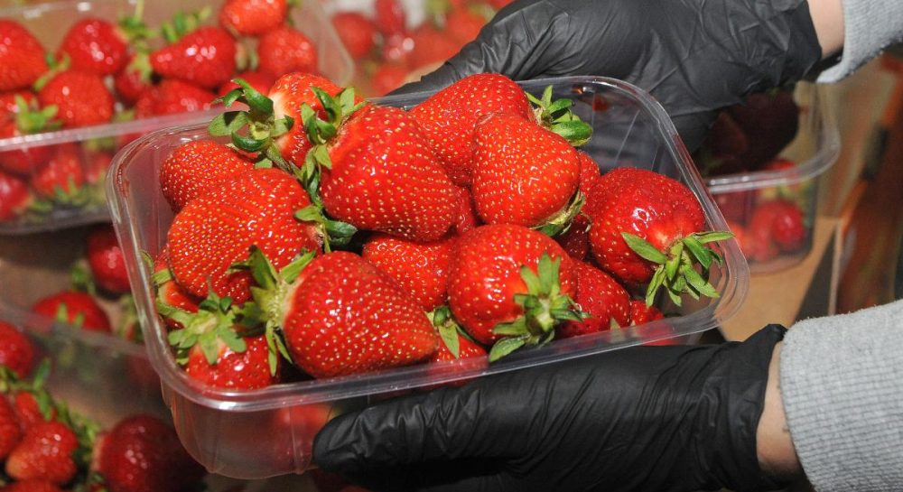 Цены на продукты в Украине – Сколько стоит клубника в апреле