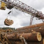 Новости России — еще одной отрасли в России грозят массовые банкротства