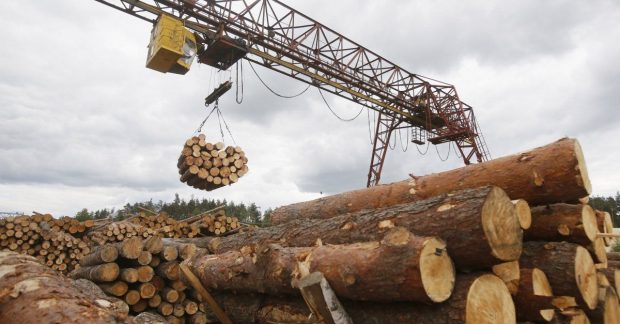 Новости России — еще одной отрасли в России грозят массовые банкротства