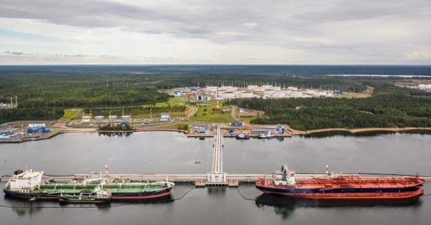 Приморск потерял 40% хранилищ из-за атак дронов