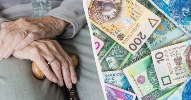Пенсии в Польше — сколько нужно зарабатывать, чтобы получать 4000 евро