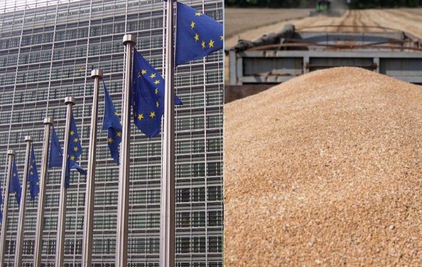 Евросоюз вмешался в скандал с украденным украинским зерном в Израиле, – Reuters