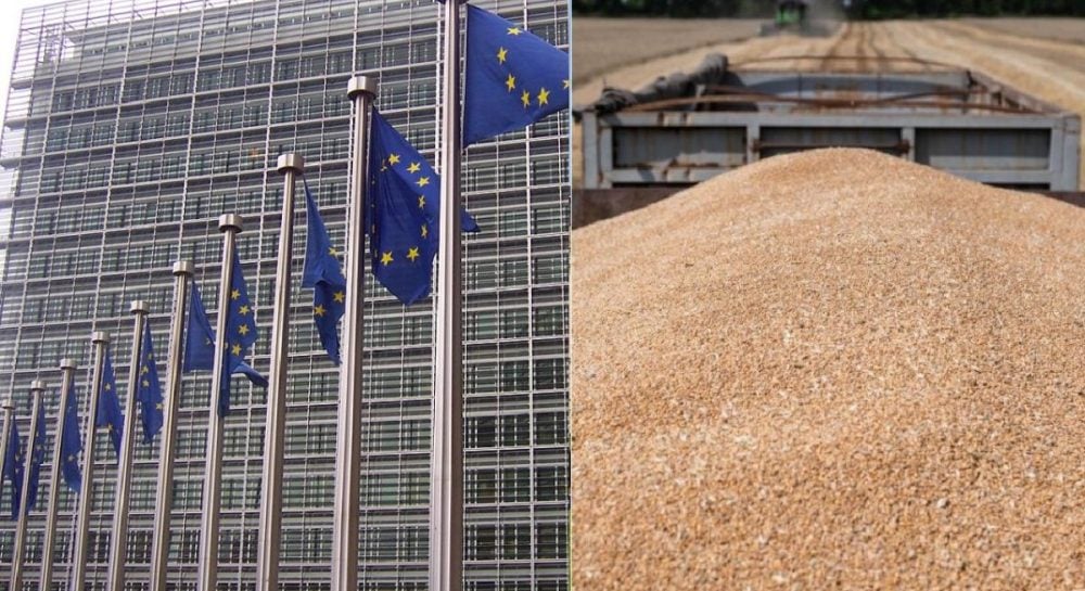 Евросоюз вмешался в скандал с украденным украинским зерном в Израиле, – Reuters