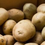 Цены на картофель резко упали – сколько стоит картофель сегодня