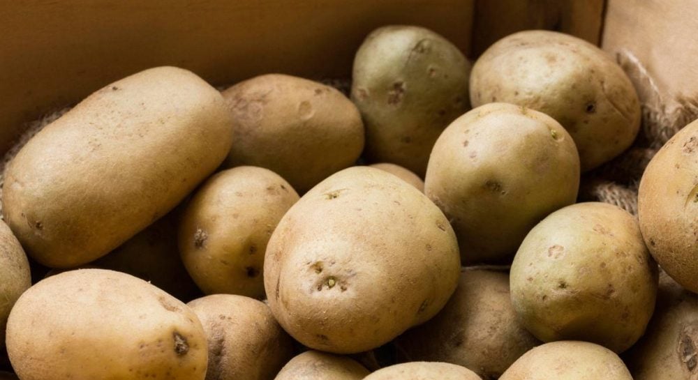 Цены на картофель резко упали – сколько стоит картофель сегодня