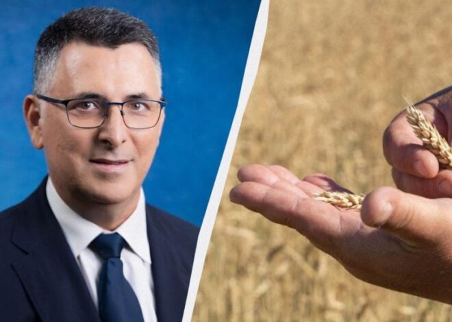 Украинское зерно — в Израиле отреагировали на обвинения со стороны Зеленского