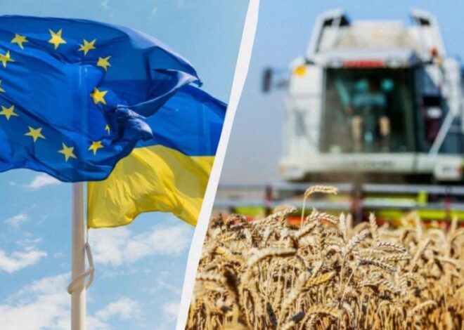 Денег никто не даст: быстрое вступление в ЕС больно ударит по украинским аграриям