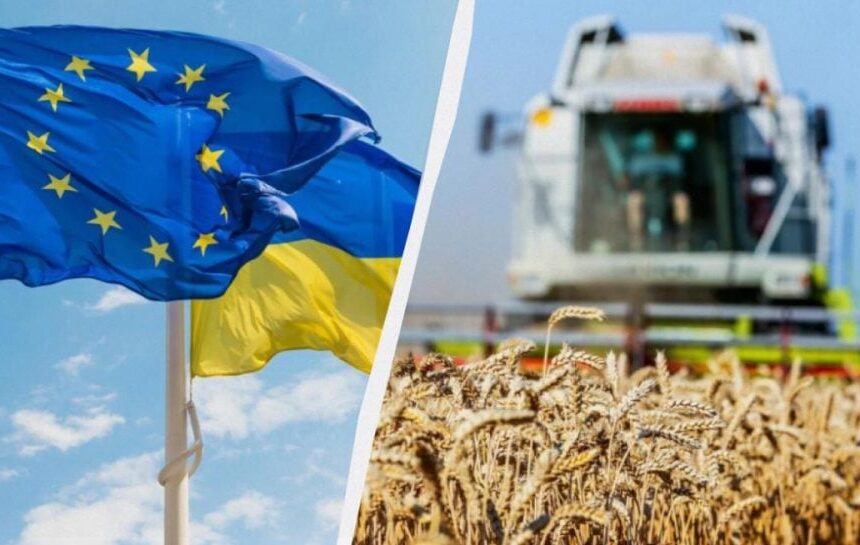 Денег никто не даст: быстрое вступление в ЕС больно ударит по украинским аграриям