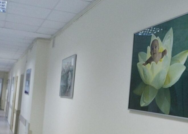 В одной из стран ЕС предлагают платить украинкам за рождение детей: что известно