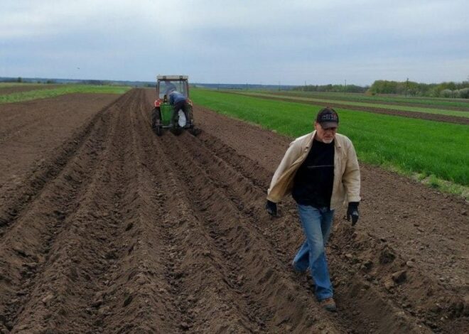 Рынок земли – в Украине изменились цены на землю, стоимость гектара снизилась