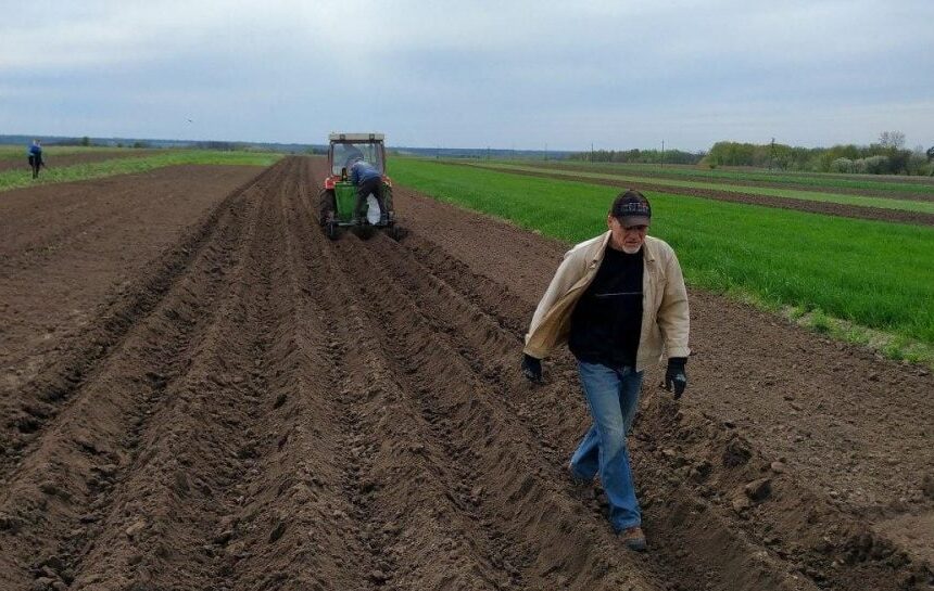 Рынок земли – в Украине изменились цены на землю, стоимость гектара снизилась