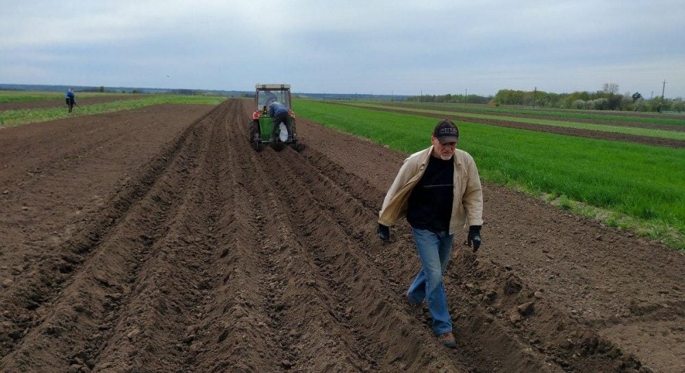 Рынок земли – в Украине изменились цены на землю, стоимость гектара снизилась