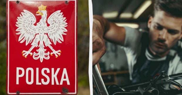 Работа в Польше в 2026 году