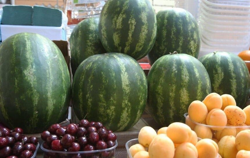Арбузы в Украине – когда ждать первого урожая