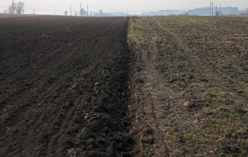 Мильна бульбашка. Що спільного у ринку землі та криптовалюти