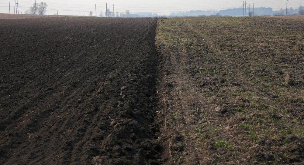 Мильна бульбашка. Що спільного у ринку землі та криптовалюти