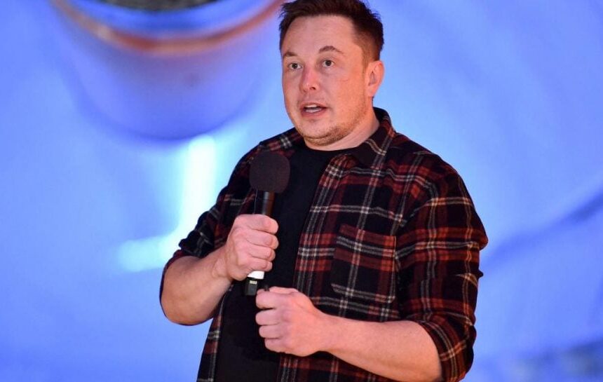 Илон Маск – самая богатая женщина Австралии инвестировала 1 млрд долларов в SpaceX