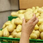 Картофель в Украине – бюджет ежегодно теряет миллиард гривен