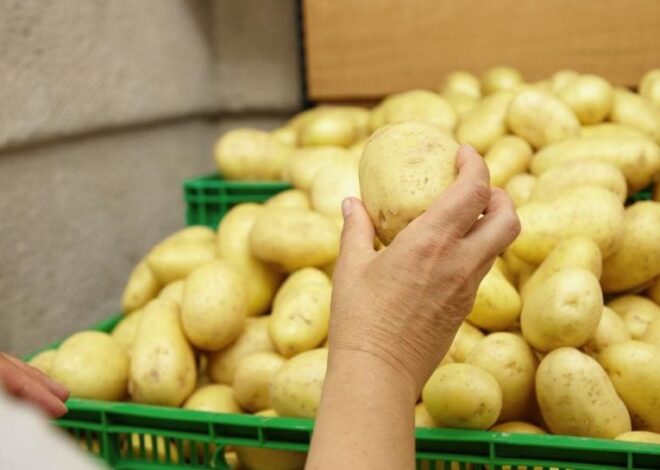 Картофель в Украине – бюджет ежегодно теряет миллиард гривен