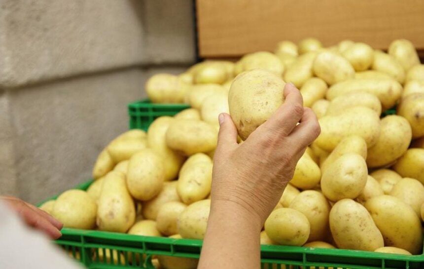 Картофель в Украине – бюджет ежегодно теряет миллиард гривен