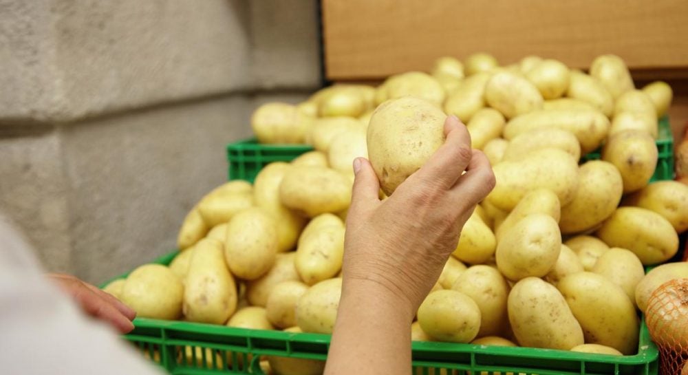 Картофель в Украине – бюджет ежегодно теряет миллиард гривен