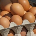 Сколько стоят яйца сегодня – актуальные цены в магазинах Украины