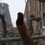 Зимой будут отключения света, а в Киеве не будет и отопления – эксперт