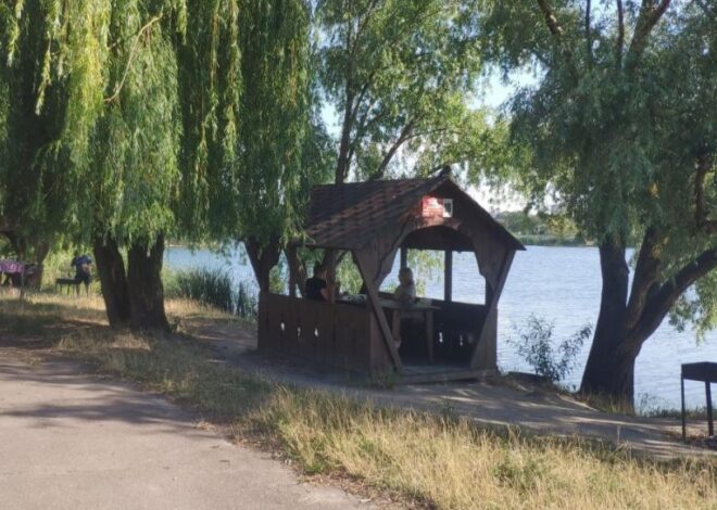 сколько сейчас стоит отдых на природе