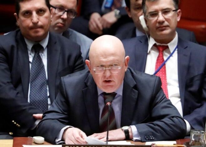 Небензя подал жалобу в ООН на санкции Украины в отношении Маши и Медведя