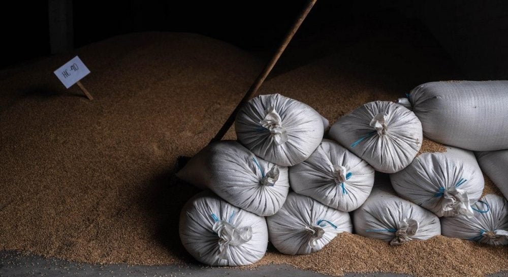 Пшеница подорожала до максимального уровня за 3 года: названа причина