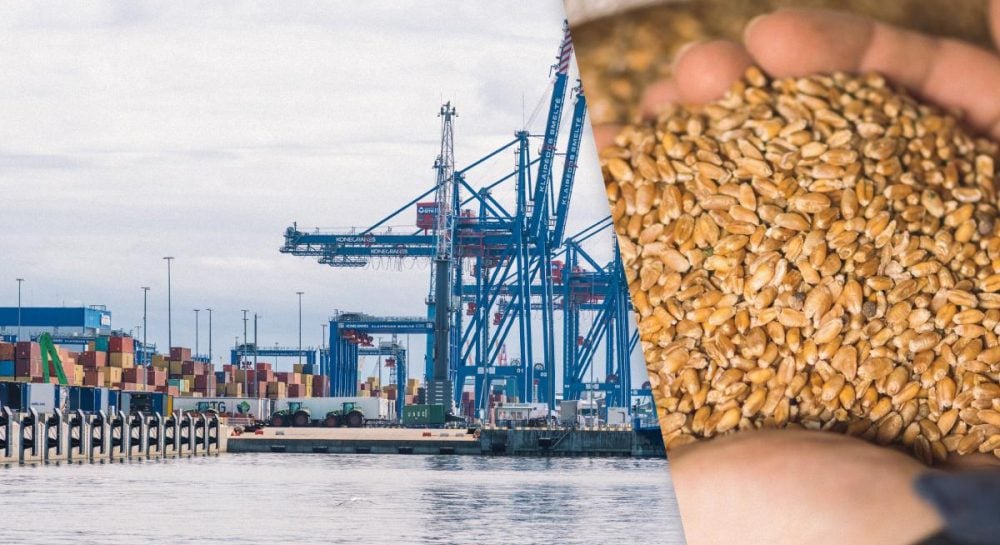 Россия хочет остановить сухопутный агроэкспорт из Украины вслед за морским, – ISW