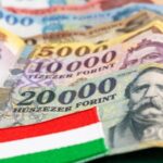 Минимальная пенсия в Венгрии – сколько будут платить в 2026 году
