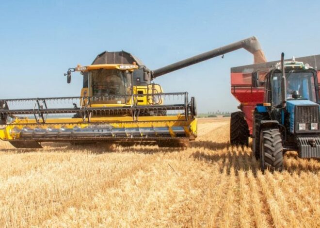 Война в Украине грозит перебоями на мировом продовольственном рынке – СМИ