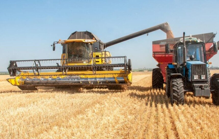 Война в Украине грозит перебоями на мировом продовольственном рынке – СМИ